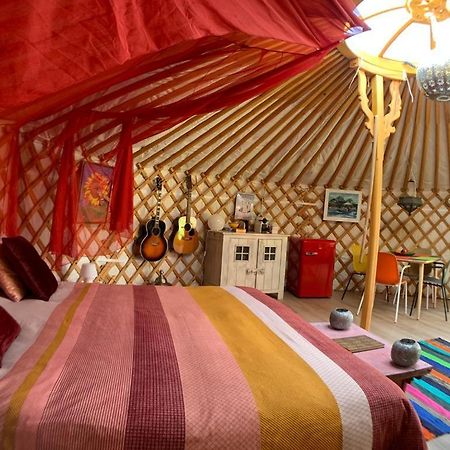 Overnachten In Een Luxe Yurt! Zonnemaire Zewnętrze zdjęcie